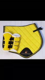 Matching set
Best Quality work
Reasonable price
Different sizes color design according to your demand
#saddlepad #horseboots #horsepad #horse #equestrian