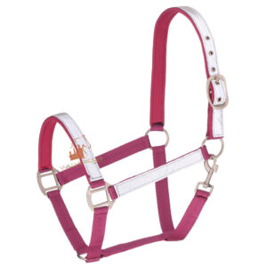 Safety & Field HeadCollar