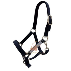 Safety & Field HeadCollar