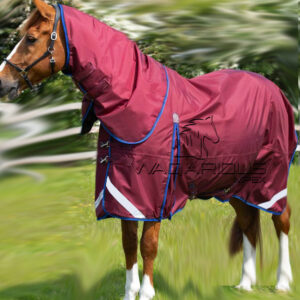 Horse Turnout rugs (Blanket)