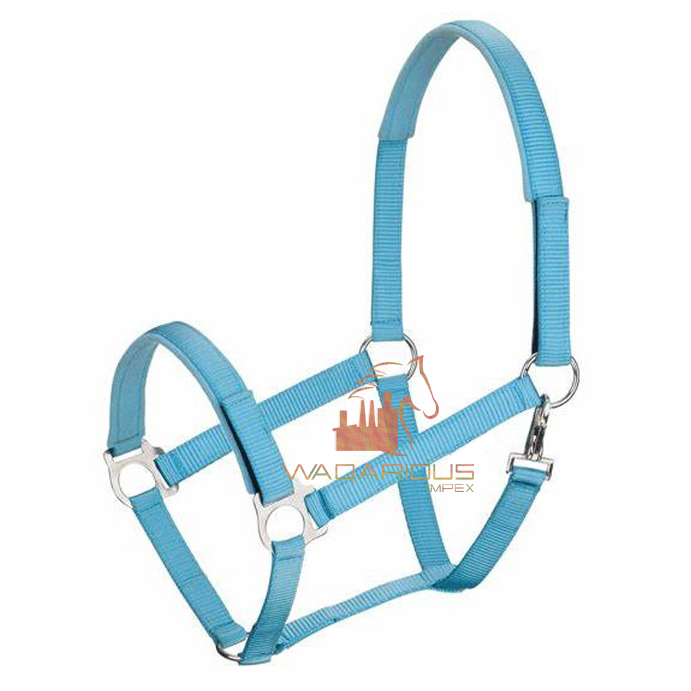 Safety & Field HeadCollar