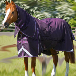 Horse Turnout rugs (Blanket)