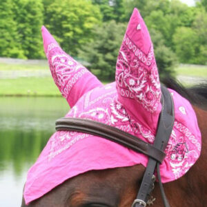 horse bonnets